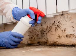 Best Biohazard Mold Removal  in Smyrna, DE